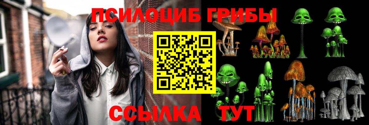 Славянск-на-Кубани  Псилоцибиновые грибы Psilocybe  Вход с VPN  Псилоцибиновые грибы мухоморы 